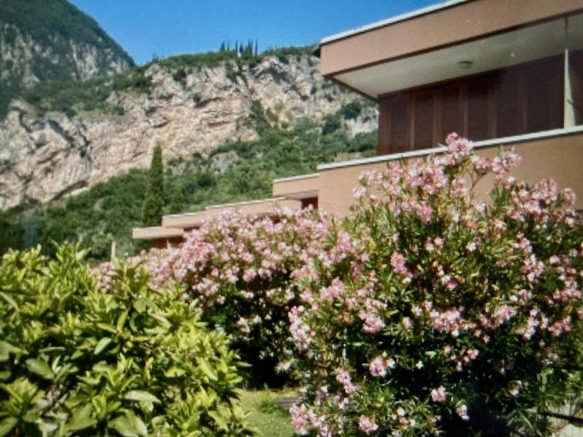 Appartamento Peppino Mit Seeblick Und Pool Riva del Garda Extérieur photo
